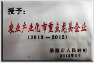 10.市重点龙头企业2013.5